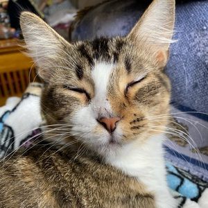 Meet your Posher, Tonya